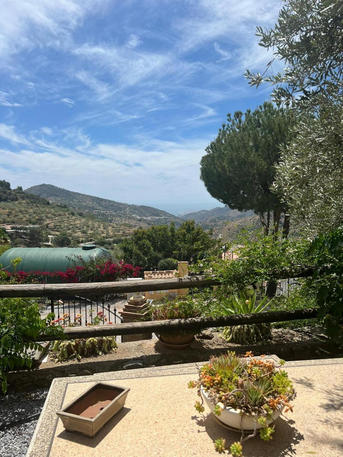 Los Olivos Málaga Eksteriør billede