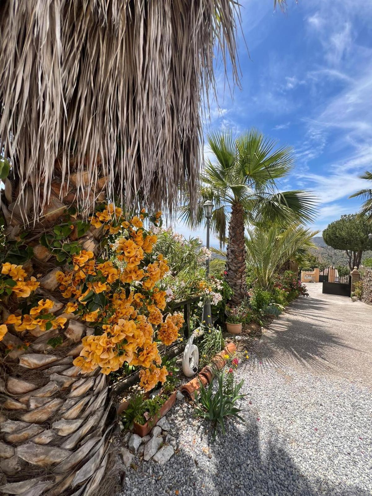 Los Olivos Málaga Eksteriør billede